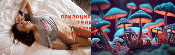 амф Белоозёрский
