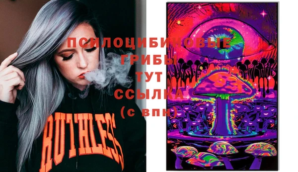 2c-b Белокуриха