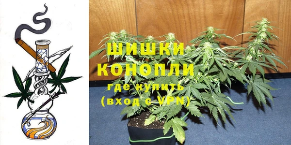 2c-b Белокуриха