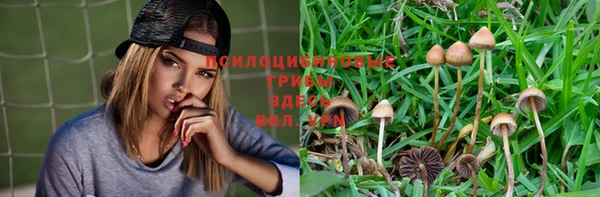 2c-b Белокуриха