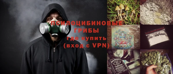 2c-b Белокуриха