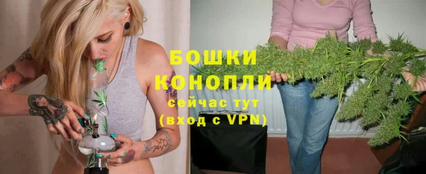 2c-b Белокуриха