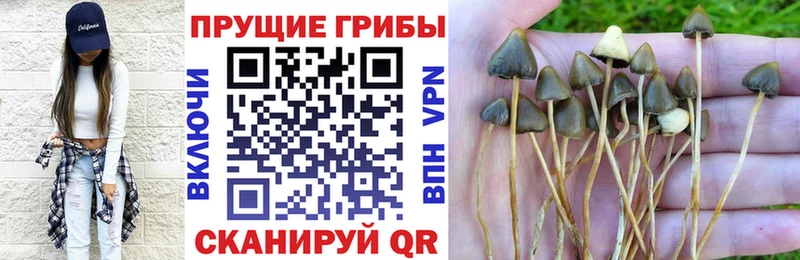 Купить  Городище  Галлюциногенные грибы Magic Shrooms 